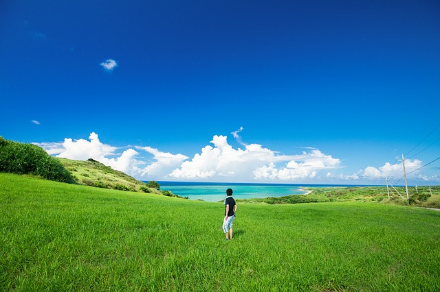 真夏の草原に立って遠くの海を眺める1人の男性