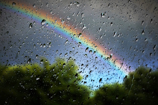 雨のあとにかかる虹